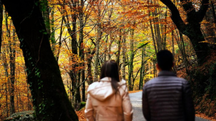 Walk and talk