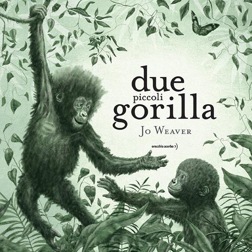 due piccoli gorilla ITA